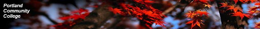 Fall Leaves with Name